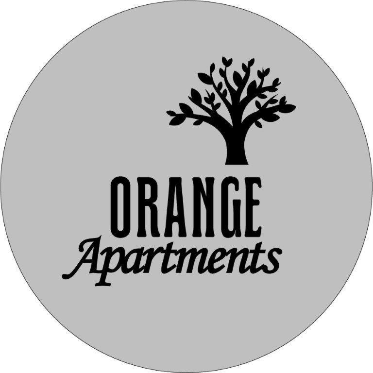 Orange Apartments Vassiliki Esterno foto